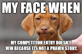 Disappointed Dog | MY FACE WHEN; MY COMPETITION ENTRY DOESN'T WIN BECAUSE ITS NOT A PRAWN STORY. | image tagged in disappointed dog | made w/ Imgflip meme maker