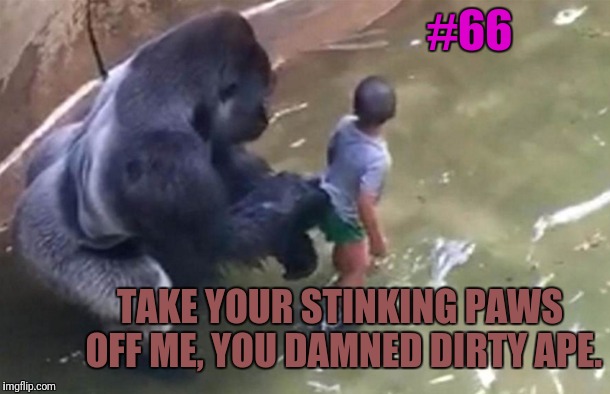 This week: Movie quotes from AFI's top 100 set to inappropriate pictures. | #66; TAKE YOUR STINKING PAWS OFF ME, YOU DAMNED DIRTY APE. | image tagged in movie quotes,planet of the apes,harambe | made w/ Imgflip meme maker