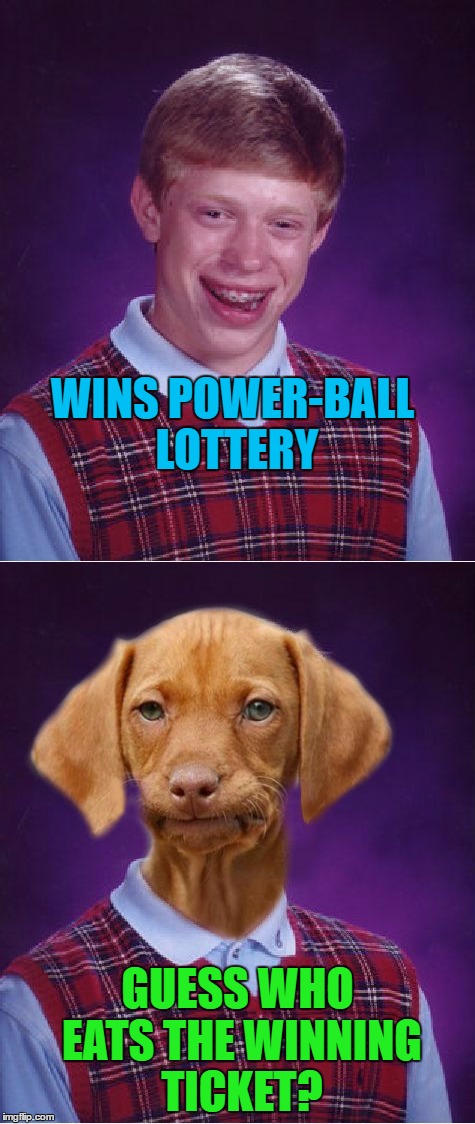 Bad Luck Boys | WINS POWER-BALL LOTTERY; GUESS WHO EATS THE WINNING TICKET? | image tagged in funny,memes,bad luck brian,bad luck raydog,fun | made w/ Imgflip meme maker