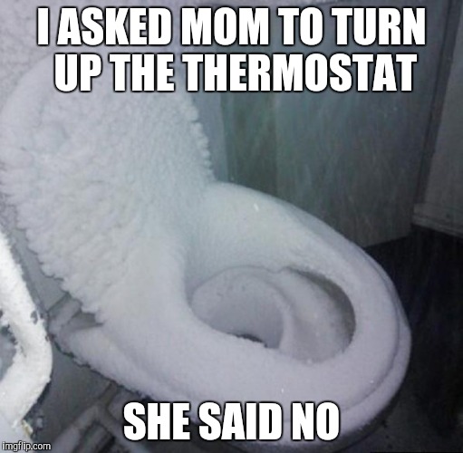 cold toilet | I ASKED MOM TO TURN UP THE THERMOSTAT; SHE SAID NO | image tagged in cold toilet | made w/ Imgflip meme maker