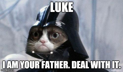 Grumpy Cat Star Wars Meme | LUKE; I AM YOUR FATHER. DEAL WITH IT. | image tagged in memes,grumpy cat star wars,grumpy cat | made w/ Imgflip meme maker