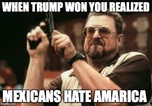 Am I The Only One Around Here Meme | WHEN TRUMP WON YOU REALIZED; MEXICANS HATE AMARICA | image tagged in memes,am i the only one around here | made w/ Imgflip meme maker