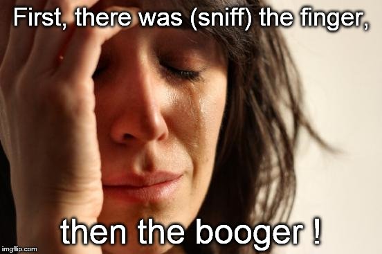 First World Problems Meme | First, there was (sniff) the finger, then the booger ! | image tagged in memes,first world problems | made w/ Imgflip meme maker