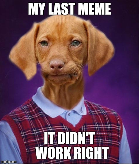Bad luck Ray dog meme | MY LAST MEME; IT DIDN'T  WORK RIGHT | image tagged in bad luck raydog,memes,not funny,sad dog | made w/ Imgflip meme maker