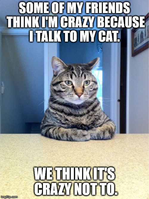 I'm crazy too...BFF?? | SOME OF MY FRIENDS THINK I'M CRAZY BECAUSE I TALK TO MY CAT. WE THINK IT'S CRAZY NOT TO. | image tagged in memes,take a seat cat,funny memes | made w/ Imgflip meme maker