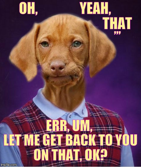 Bad Luck Raydog | OH,                YEAH,                                        THAT; ,,, ERR, UM,       LET ME GET BACK TO YOU         ON THAT, OK? | image tagged in bad luck raydog | made w/ Imgflip meme maker