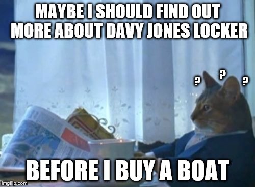 I Should Buy A Boat Cat | MAYBE I SHOULD FIND OUT MORE ABOUT DAVY JONES LOCKER; ? ? ? BEFORE I BUY A BOAT | image tagged in memes,i should buy a boat cat | made w/ Imgflip meme maker