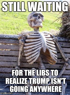 Waiting Skeleton Meme | STILL WAITING; FOR THE LIBS TO REALIZE TRUMP ISN'T GOING ANYWHERE | image tagged in memes,waiting skeleton | made w/ Imgflip meme maker
