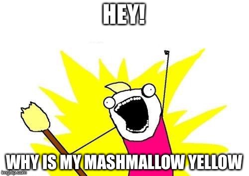 X All The Y Meme | HEY! WHY IS MY MASHMALLOW YELLOW | image tagged in memes,x all the y | made w/ Imgflip meme maker
