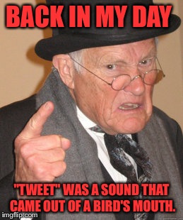 Back In My Day Meme | BACK IN MY DAY; "TWEET" WAS A SOUND THAT CAME OUT OF A BIRD'S MOUTH. | image tagged in memes,back in my day | made w/ Imgflip meme maker