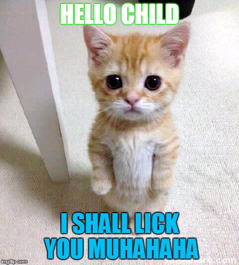 Cute Cat | HELLO CHILD; I SHALL LICK YOU MUHAHAHA | image tagged in memes,cute cat | made w/ Imgflip meme maker