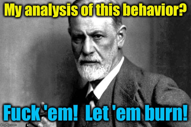 Sigmund Frued | My analysis of this behavior? F**k 'em!  Let 'em burn! | image tagged in sigmund frued | made w/ Imgflip meme maker