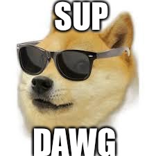MLG DOGE | SUP; DAWG | image tagged in mlg doge | made w/ Imgflip meme maker