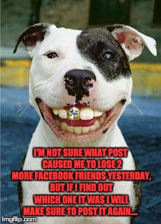 PIt Bull Smile | I'M NOT SURE WHAT POST  CAUSED ME TO LOSE 2 MORE FACEBOOK FRIENDS YESTERDAY, BUT IF I FIND OUT WHICH ONE IT WAS I WILL MAKE SURE TO POST IT AGAIN.... | image tagged in pit bull smile | made w/ Imgflip meme maker