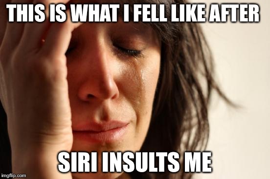 First World Problems Meme | THIS IS WHAT I FELL LIKE AFTER; SIRI INSULTS ME | image tagged in memes,first world problems | made w/ Imgflip meme maker