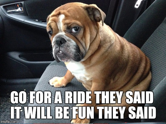 GO FOR A RIDE THEY SAID IT WILL BE FUN THEY SAID | made w/ Imgflip meme maker