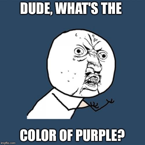 Y U No | DUDE, WHAT'S THE; COLOR OF PURPLE? | image tagged in memes,y u no | made w/ Imgflip meme maker