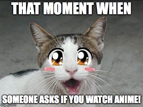 THAT MOMENT WHEN; SOMEONE ASKS IF YOU WATCH ANIME! | image tagged in anime,funny cats | made w/ Imgflip meme maker