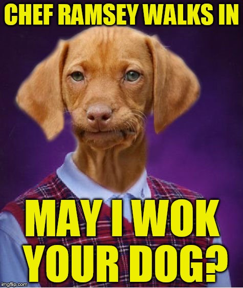 Bad Luck Raydog | CHEF RAMSEY WALKS IN; MAY I WOK YOUR DOG? | image tagged in bad luck raydog | made w/ Imgflip meme maker