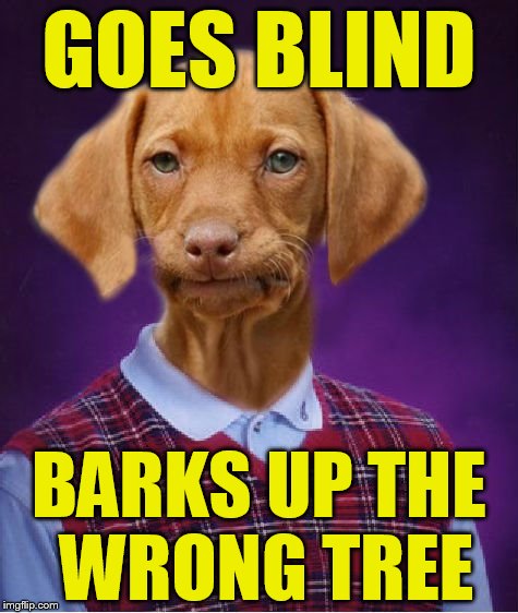 Bad Luck Raydog | GOES BLIND; BARKS UP THE WRONG TREE | image tagged in bad luck raydog | made w/ Imgflip meme maker