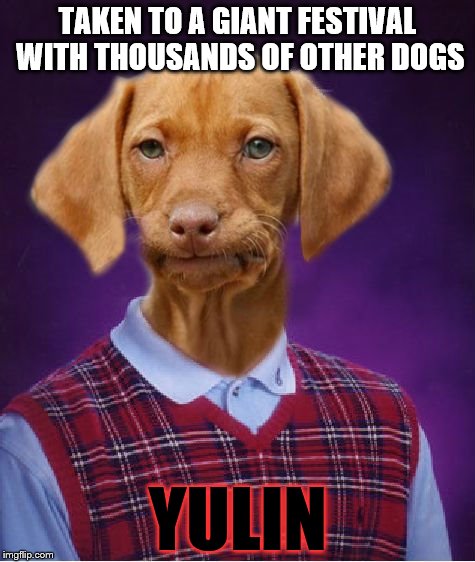 If you don't know what the Yulin Festival is, it's probably for the best.  | TAKEN TO A GIANT FESTIVAL WITH THOUSANDS OF OTHER DOGS; YULIN | image tagged in bad luck raydog | made w/ Imgflip meme maker