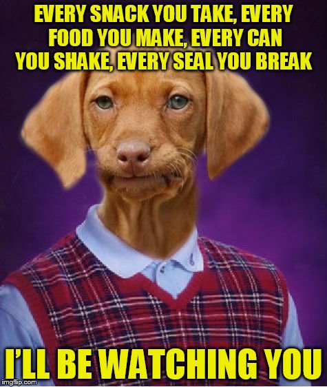 I know it doesn't fit the bad luck image, but.... | EVERY SNACK YOU TAKE, EVERY FOOD YOU MAKE, EVERY CAN YOU SHAKE, EVERY SEAL YOU BREAK; I’LL BE WATCHING YOU | image tagged in bad luck raydog | made w/ Imgflip meme maker