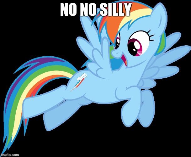dashie flying | NO NO SILLY | image tagged in dashie flying | made w/ Imgflip meme maker