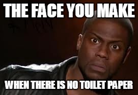 Kevin Hart Meme | THE FACE YOU MAKE; WHEN THERE IS NO TOILET PAPER | image tagged in memes,kevin hart the hell | made w/ Imgflip meme maker