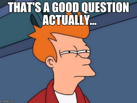 Futurama Fry Meme | THAT'S A GOOD QUESTION ACTUALLY... | image tagged in memes,futurama fry | made w/ Imgflip meme maker
