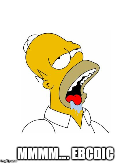 Homer Simpson Drooling | MMMM.... EBCDIC | image tagged in homer simpson drooling | made w/ Imgflip meme maker