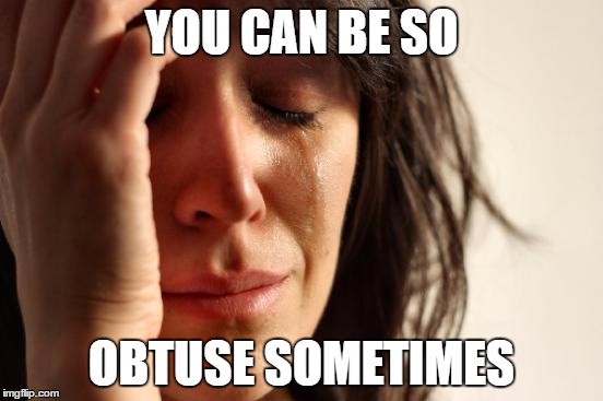 First World Problems Meme | YOU CAN BE SO OBTUSE SOMETIMES | image tagged in memes,first world problems | made w/ Imgflip meme maker