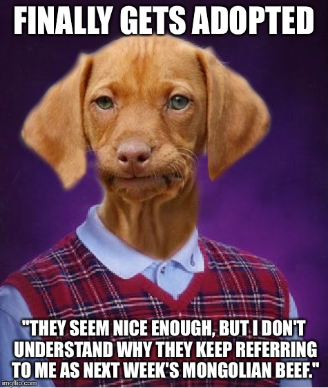 Bad Luck Raydog | FINALLY GETS ADOPTED; "THEY SEEM NICE ENOUGH, BUT I DON'T UNDERSTAND WHY THEY KEEP REFERRING TO ME AS NEXT WEEK'S MONGOLIAN BEEF." | image tagged in bad luck raydog | made w/ Imgflip meme maker