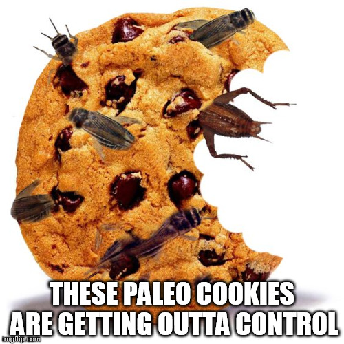 Paleo Cookies | THESE PALEO COOKIES ARE GETTING OUTTA CONTROL | image tagged in paleo cookies bugs food gross diet chocolate | made w/ Imgflip meme maker