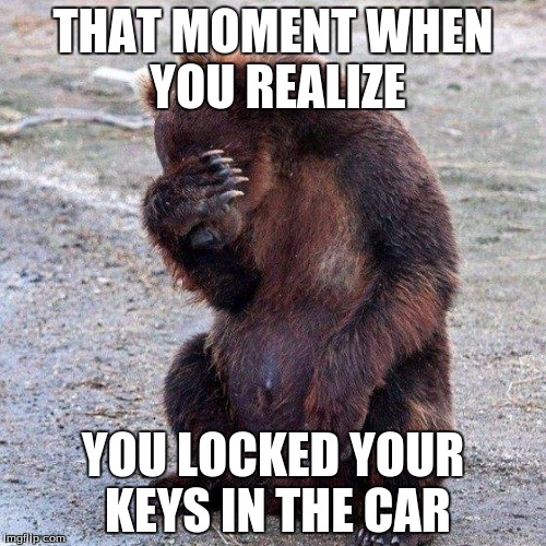 Poor animals | THAT MOMENT WHEN YOU REALIZE; YOU LOCKED YOUR KEYS IN THE CAR | image tagged in poor animals | made w/ Imgflip meme maker
