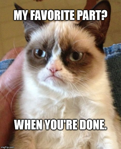 Grumpy Cat | MY FAVORITE PART? WHEN YOU'RE DONE. | image tagged in memes,grumpy cat | made w/ Imgflip meme maker