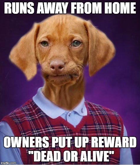 Bad Luck Raydog | RUNS AWAY FROM HOME; OWNERS PUT UP REWARD "DEAD OR ALIVE" | image tagged in bad luck raydog | made w/ Imgflip meme maker