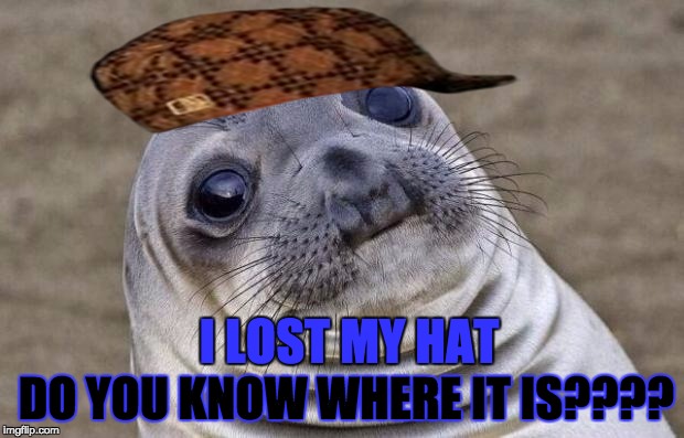 Awkward Moment Sealion Meme | DO YOU KNOW WHERE IT IS???? I LOST MY HAT | image tagged in memes,awkward moment sealion,scumbag | made w/ Imgflip meme maker