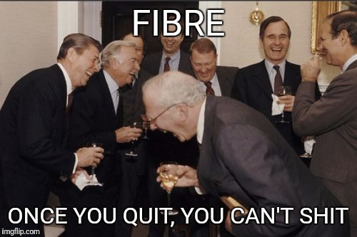 Laughing Men In Suits Meme | FIBRE; ONCE YOU QUIT, YOU CAN'T SHIT | image tagged in memes,laughing men in suits | made w/ Imgflip meme maker