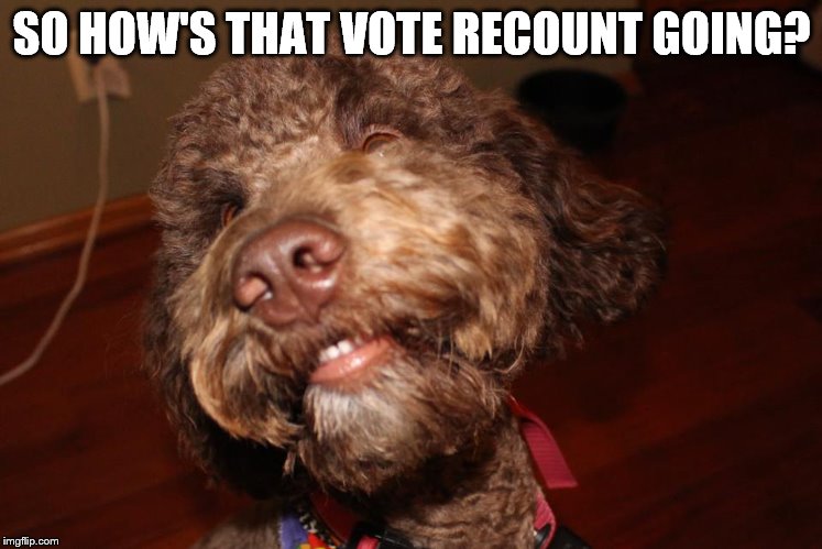 SO HOW'S THAT VOTE RECOUNT GOING? | image tagged in pixie | made w/ Imgflip meme maker