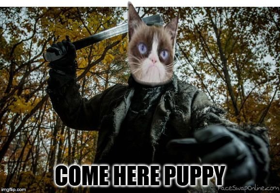 grumpy cat jason | COME HERE PUPPY | image tagged in grumpy cat jason | made w/ Imgflip meme maker