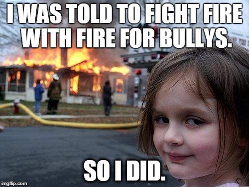 Disaster Girl Meme | I WAS TOLD TO FIGHT FIRE WITH FIRE FOR BULLYS. SO I DID. | image tagged in memes,disaster girl | made w/ Imgflip meme maker