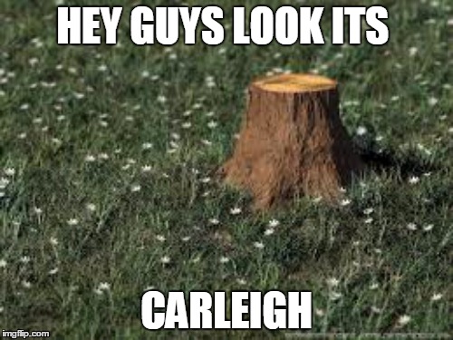 C stump | HEY GUYS LOOK ITS; CARLEIGH | image tagged in disaster girl | made w/ Imgflip meme maker