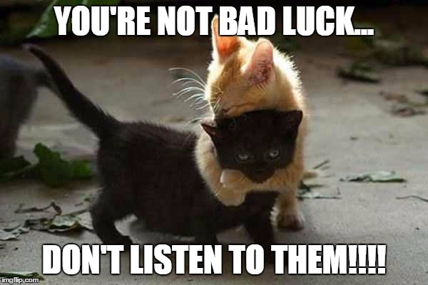 Kitten Hugs | YOU'RE NOT BAD LUCK... DON'T LISTEN TO THEM!!!! | image tagged in memes,kittens | made w/ Imgflip meme maker