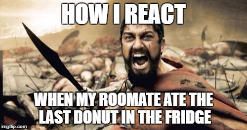 Sparta Leonidas | HOW I REACT; WHEN MY ROOMATE ATE THE LAST DONUT IN THE FRIDGE | image tagged in memes,sparta leonidas | made w/ Imgflip meme maker