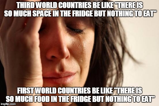 First World Problems | THIRD WORLD COUNTRIES BE LIKE "THERE IS SO MUCH SPACE IN THE FRIDGE BUT NOTHING TO EAT"; FIRST WORLD COUNTRIES BE LIKE "THERE IS SO MUCH FOOD IN THE FRIDGE BUT NOTHING TO EAT" | image tagged in memes,first world problems | made w/ Imgflip meme maker