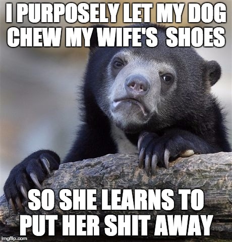 Confession Bear Meme | I PURPOSELY LET MY DOG CHEW MY WIFE'S  SHOES; SO SHE LEARNS TO PUT HER SHIT AWAY | image tagged in memes,confession bear | made w/ Imgflip meme maker