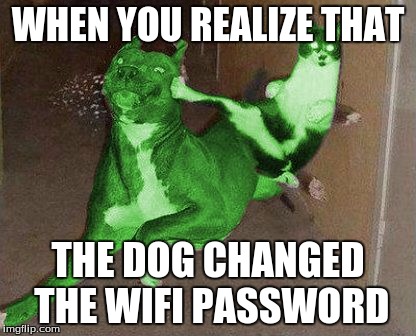 RayCat kicking RayDog | WHEN YOU REALIZE THAT; THE DOG CHANGED THE WIFI PASSWORD | image tagged in raycat kicking raydog | made w/ Imgflip meme maker