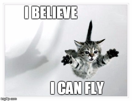 Kitten Believe  | I BELIEVE; I CAN FLY | image tagged in memes,kitten | made w/ Imgflip meme maker