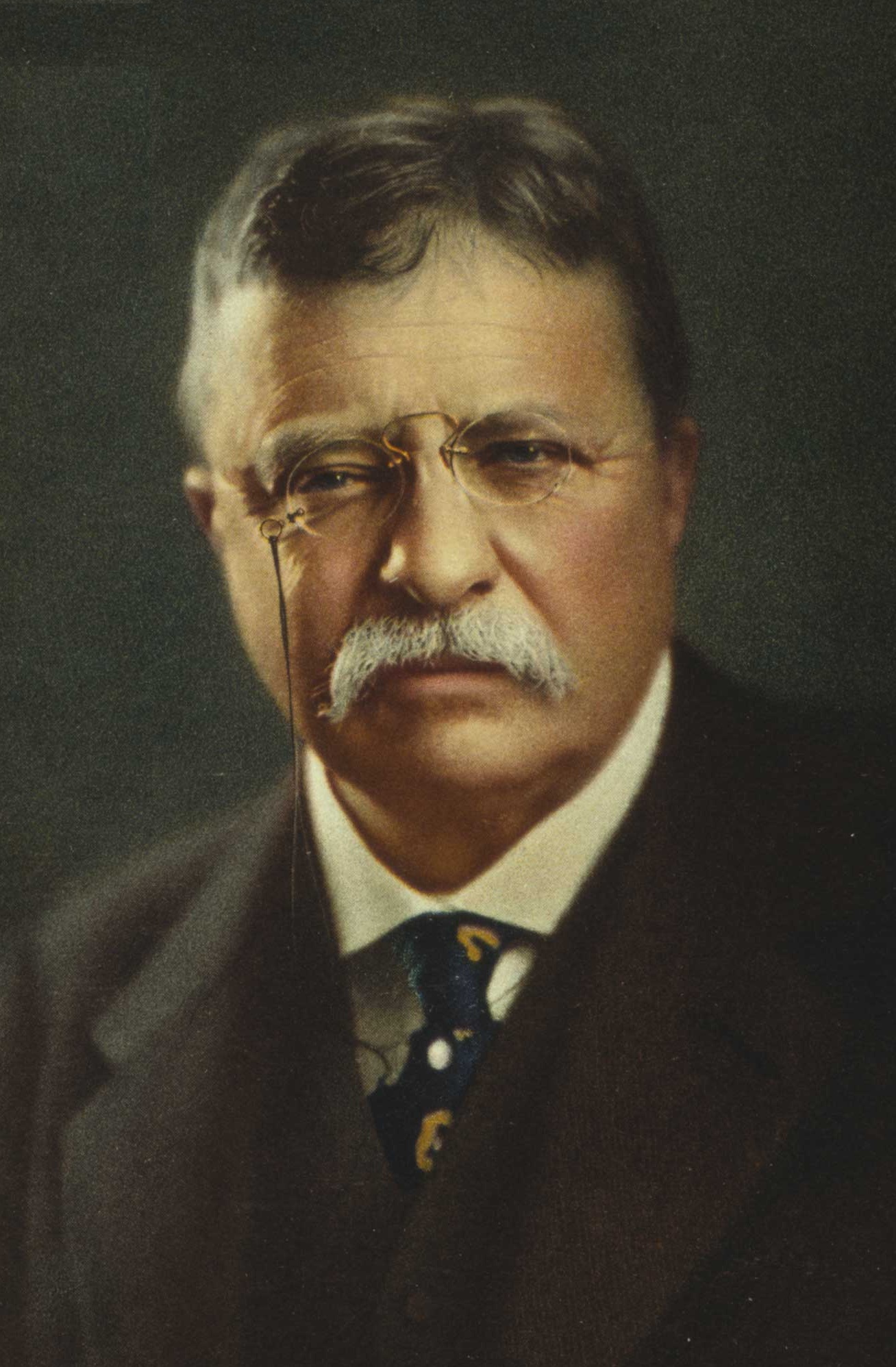 High Quality Teddy Roosevelt Portrait Blank Meme Template