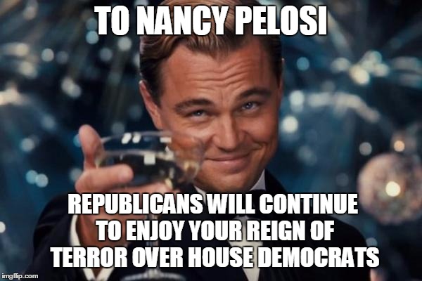 Leonardo Dicaprio Cheers | TO NANCY PELOSI; REPUBLICANS WILL CONTINUE TO ENJOY YOUR REIGN OF TERROR OVER HOUSE DEMOCRATS | image tagged in memes,leonardo dicaprio cheers,nancy pelosi,democrats,congress,politics | made w/ Imgflip meme maker